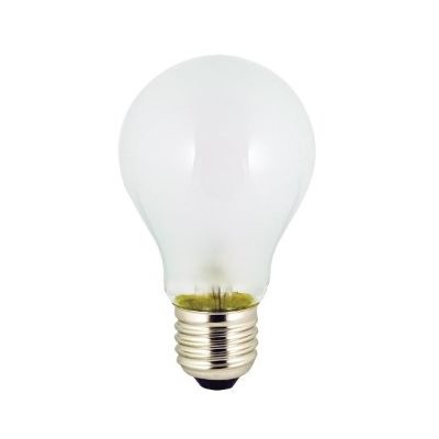 12v25w screw bulb