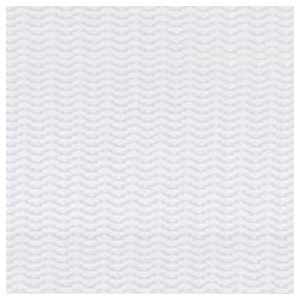 NYLON WEBBING / WHITE - 1”